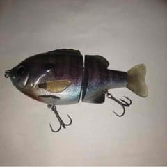fish様 専用のサムネイル