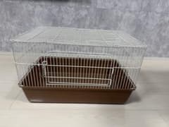 ハリネズミ飼育セットのサムネイル