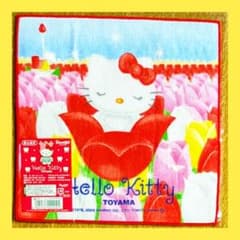 ５０枚セット ご当地キティタオル レア ハローキティ タオルセット19枚 50枚セット ご当地キティタオル レア
