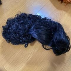 リーゼント　カツラ　ウィッグのサムネイル