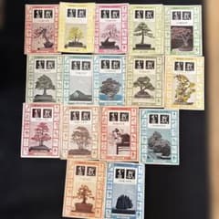 貴重昭和40年盆栽 BONSAI MAGAZINE 16冊セット研究資料専門誌 - メルカリ