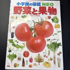 小学館の図鑑NEO ネオ 野菜と果物のサムネイル