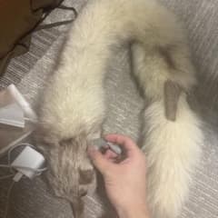 リアルファー ティペット マフラーのサムネイル