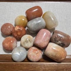 ✨️天然石 ✨️フォッシルコーラルパーツセット Bのサムネイル