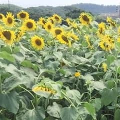 yuyu様 専用のサムネイル