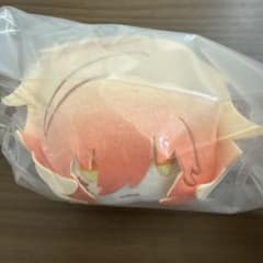 未使用　スターレイル　一番くじ モーディス ぬいぐるみバンドのサムネイル