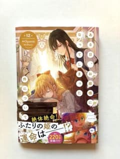ある日、お姫様になってしまった件について　［12巻］のサムネイル