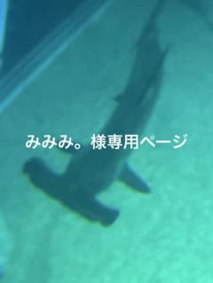 みみみ。様専用ページのサムネイル