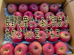 長野県産 サンふじ 丸かじり小玉 5キロのサムネイル