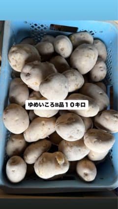 『数量限定』北海道産ゆめいころB品混み玉１０キロのサムネイル