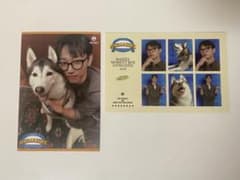 MAZZEL SEITOのサムネイル