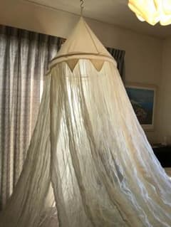 アジアン天蓋のサムネイル