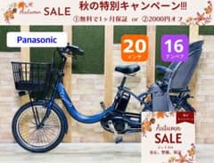 2020年モデル 皇帝 ギュトクルーム 子供乗せ電動アシスト自転車 H4419