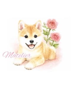 梅ちゃん様 リクエスト 2点 まとめ商品のサムネイル