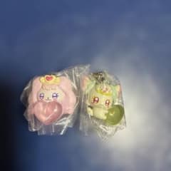 푸치큐아 메지루시 액세서리 파후&푸리룬