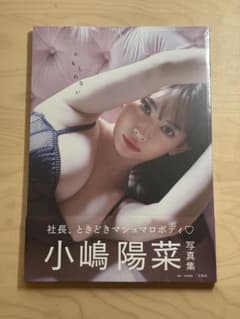 小嶋陽菜写真集 かもしれない 新品・未開封のサムネイル