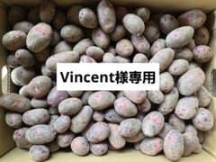Vincent 様専用！長崎県産じゃがいも3種セット 計20㎏ - メルカリ