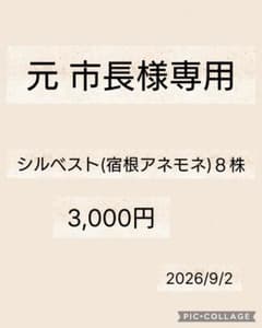 元市長様専用のサムネイル