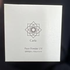 パーフェクトワンSPUVプロテクトパウダーa 5g レフィルのサムネイル