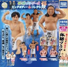 体格ブラザーズ ビッグボディー　ガチャ - 3