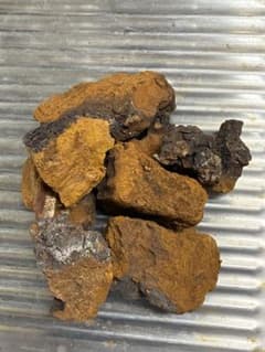 天然 カバノアナタケ 1キロのサムネイル