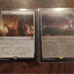 霊気池の脅威セット mtgのサムネイル