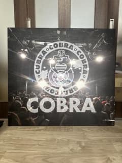COBRA one-man 2015 UNIT パネルのサムネイル