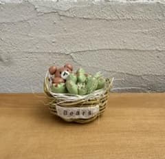 ミニチュアクレイ多肉　熊童子かご寄せ③のサムネイル
