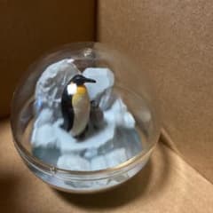海洋生物１ガチャ　ペンギンのサムネイル