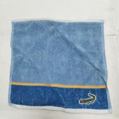 タオルハンカチのサムネイル