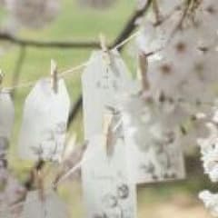 ＊ミニー様＊のサムネイル