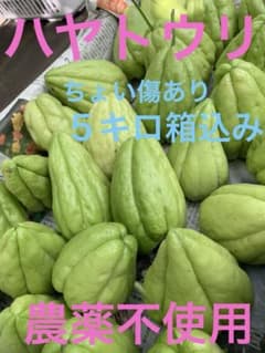 ハヤトウリ 農薬不使用 ちょい傷込み5キロ箱込み - メルカリ