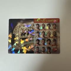RIZIN PAST CHAMPIONS カード No.30のサムネイル