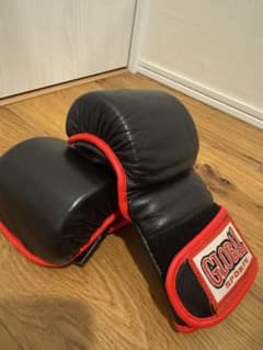 GLOBAL SPORTS グローブ 格闘技 mma パウンドグローブのサムネイル