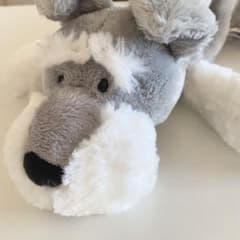 筆箱/NICI/犬/シュナウザー/ぬいぐるみのサムネイル