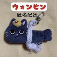 RIIZE ウォンビン トニャンドク キーホルダー ぬいぐるみ - メルカリ