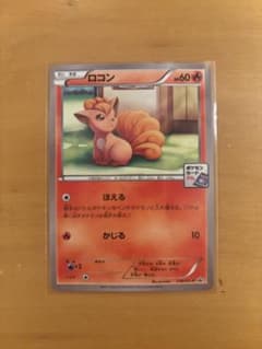 ポケモンカード ポケカ ロコン ポケモンカードジム プロモ 110/xy-p