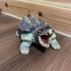 ワニガメのサムネイル