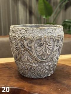 植木鉢 陶器鉢 塊根植物 コーデックスのサムネイル