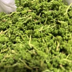秋田産山菜花山椒135g専用のサムネイル