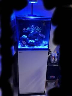 Red Sea REEFER NANO オーバーフロー水槽セット - メルカリ