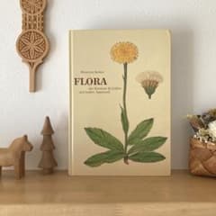 L958洋書古書　古い植物解剖図多数掲載1980年代発行ドイツの分厚い植物図鑑 L958洋書古書 古い植物解剖図多数掲載1980年代発行ドイツの分厚い植物
