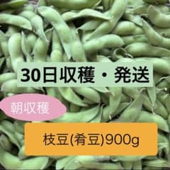 枝豆(肴豆) 900gのサムネイル