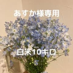 あすか様専用のサムネイル