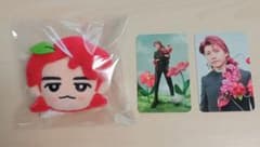 Mrs. GREEN APPLE 韓国 ぬいぐるみキーリング（カード付）若井滉斗 Mrs. GREEN APPLE 韓国 ぬいぐるみキーリング（カード付）若井滉斗