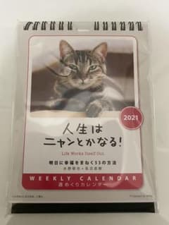 卓上／壁掛　2021年　週めくりカレンダー　猫　未開封のサムネイル