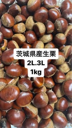 生栗　茨城県産　2L.3L  1kgのサムネイル
