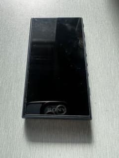 SONY WALKMAN NW-A100のサムネイル