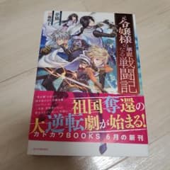 元令嬢様の華麗なる戦闘記のサムネイル