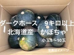 かぼちゃ 箱込み9キロ以上のサムネイル